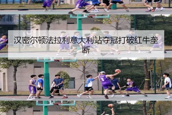 han-mi-er-dun-fa-la-li-yi-da-li-zhan-duo-guan-da-po-hong-niu-long-duan-2-883.jpg
