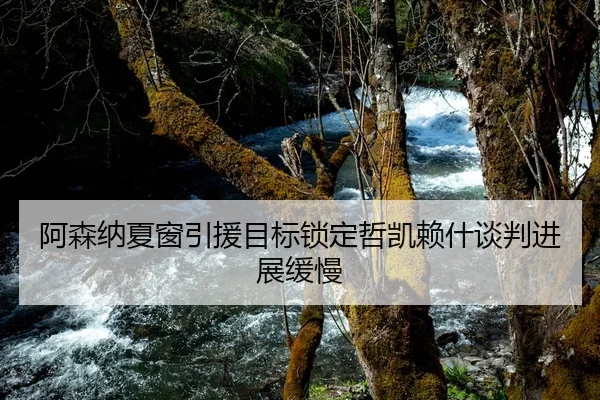 阿森纳夏窗引援目标锁定哲凯赖什谈判进展缓慢