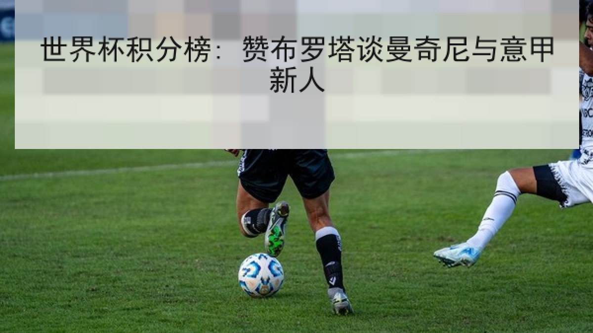 世界杯积分榜: 赞布罗塔谈曼奇尼与意甲新人 世界杯积分榜: 赞布罗塔谈曼奇尼与意甲新人