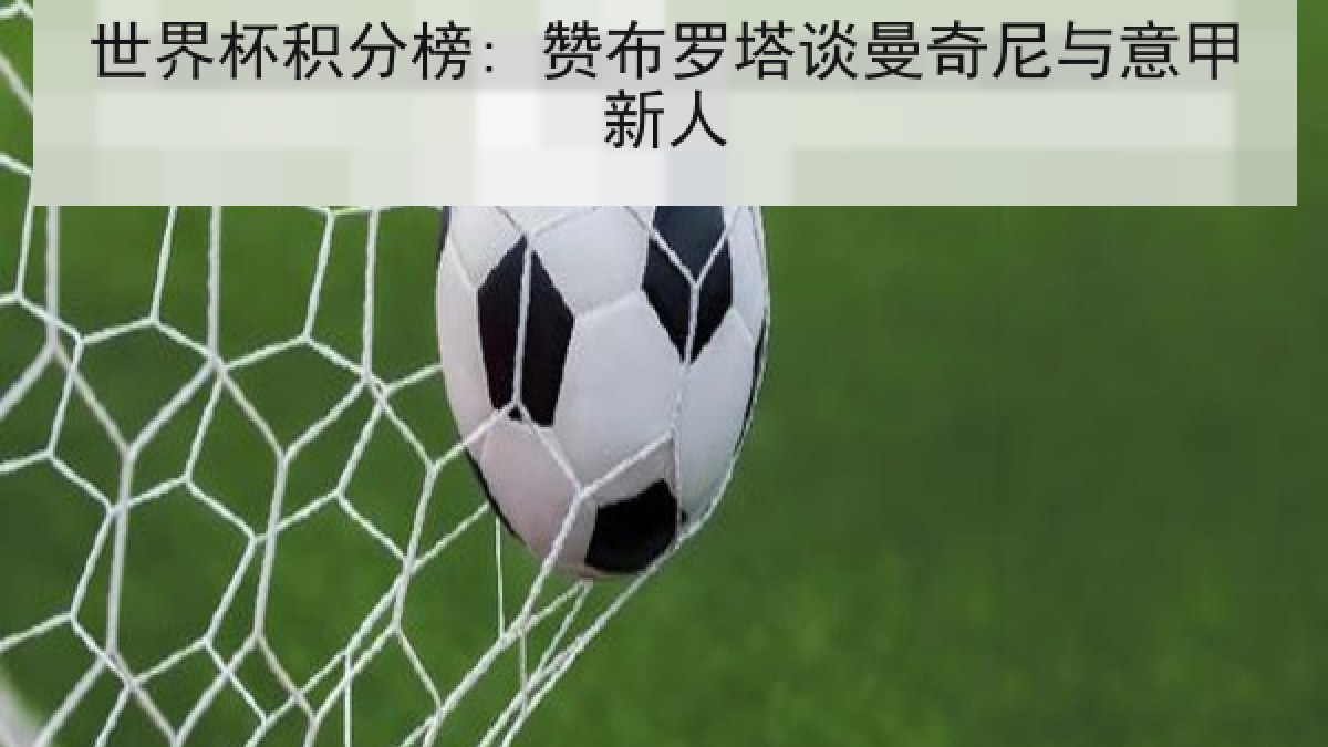 世界杯积分榜: 赞布罗塔谈曼奇尼与意甲新人