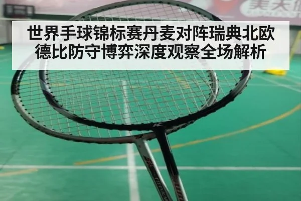 世界手球锦标赛丹麦对阵瑞典北欧德比防守博弈深度观察全场解析